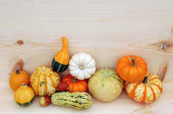 Primer Plano Las Calabazas Otoño Decoración Halloween — Foto de Stock