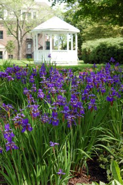 Renkli bahar çiçeklerinin ve yeşil ağaçların gündüz manzarası