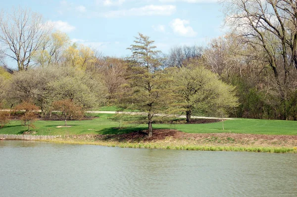 Malerischer Blick Auf Park Mit Grünen Bäumen Und Grünem Gras — Stockfoto