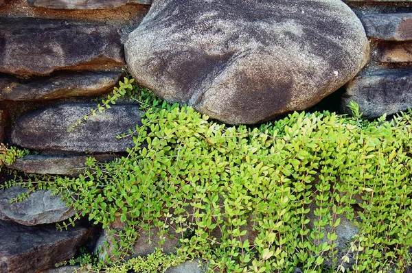 Closeup Stones Wall Pattern Background — Stock Photo, Image