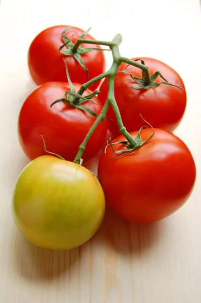 Nahaufnahme Von Tomatenzweig Isoliert Auf Weißem Hintergrund — Stockfoto