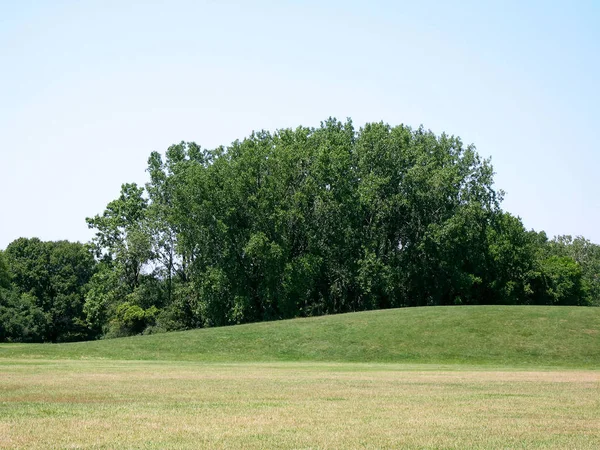 Vista Panorâmica Prado Com Árvores Verdes Grama Verde — Fotografia de Stock