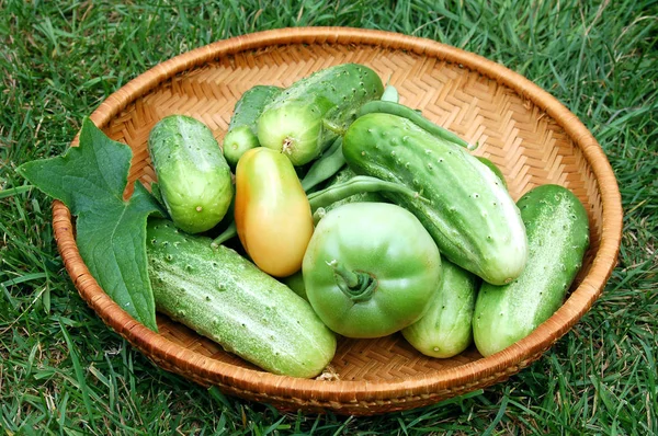 Closeup Fresh Autumnal Vegetables Daytime — Stock Photo, Image