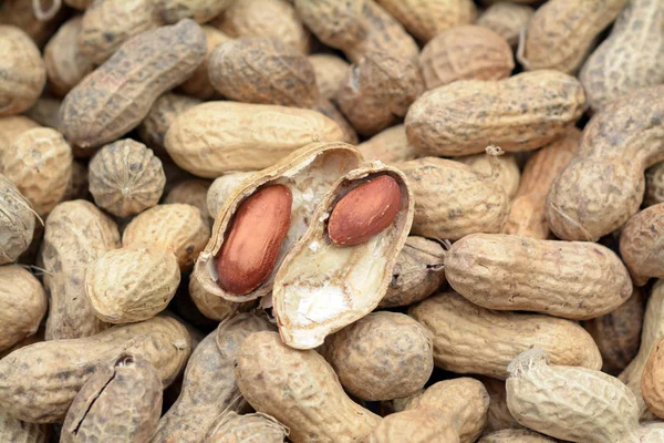 heap of roasted peanut with one open