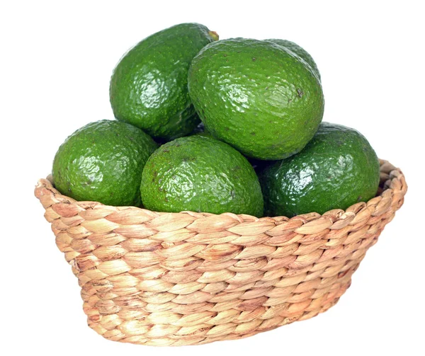 Aguacate Verde Cesta Aislado Blanco — Foto de Stock