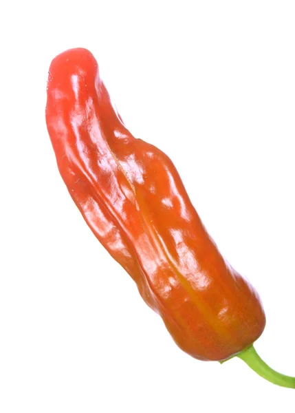 Banaan peper — Stockfoto