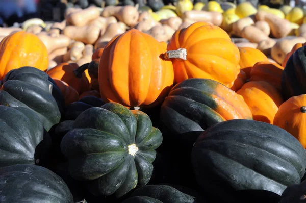yellow and green acorn squash in the market place