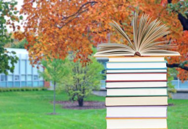 Eğitim ve okul kavramı geri