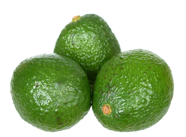 Drei Avocado — Stockfoto