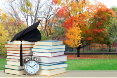 Kitap ve okul bahçesi