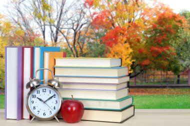 Kitap ve okul bahçesi