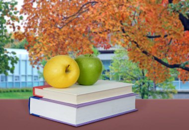 Eğitim ve okul kavramı geri