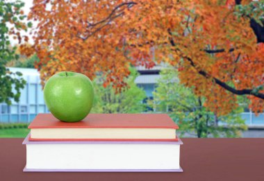 Eğitim ve okul kavramı geri