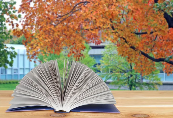 Eğitim ve okul kavramı geri