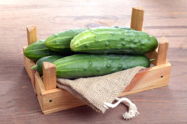 Cucumber — Stock Photo, Image