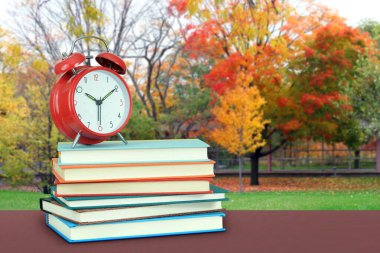 Kitap ve okul bahçesi