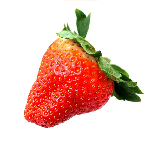 Young strawberry — Stock Photo, Image