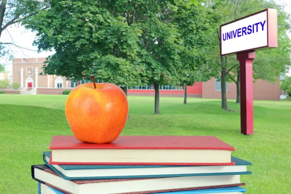 kitap ve üniversite