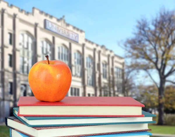 kitap ve üniversite