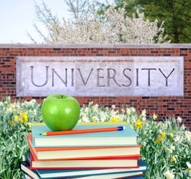 Üniversite