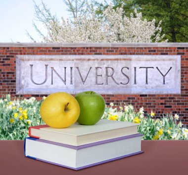 Üniversite