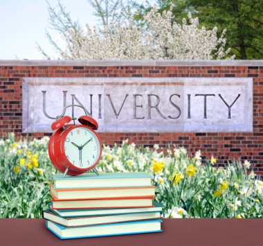 Üniversite