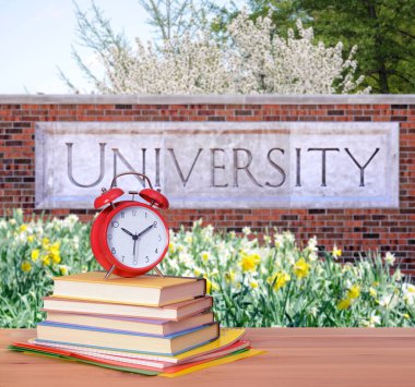 Üniversite