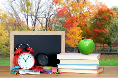 Kitap ve okul bahçesi