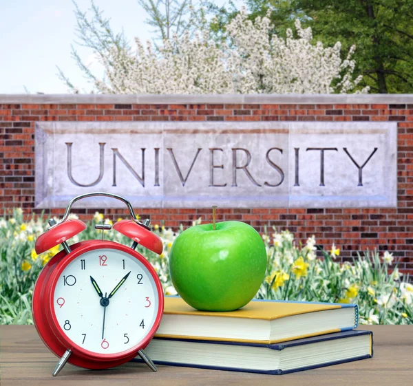 Üniversite