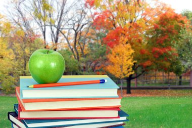 Kitap ve okul bahçesi