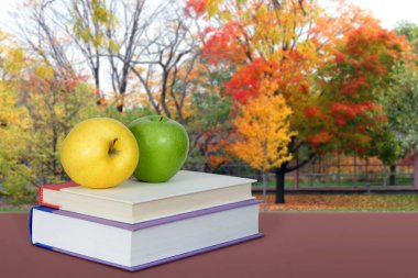 Kitap ve okul bahçesi