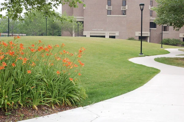 Şehir parkında yürüyüş yolu