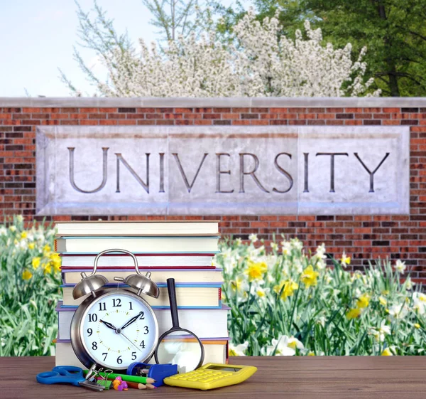 Üniversite