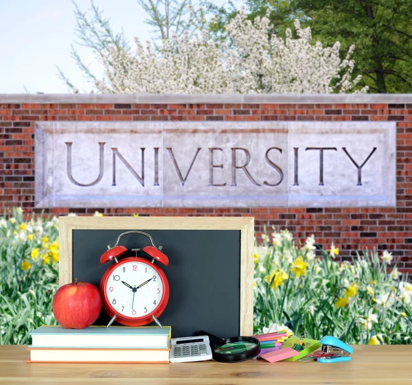 Üniversite