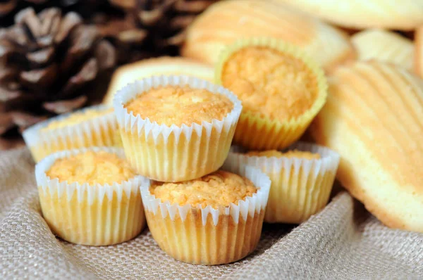 Malý muffin — Stock fotografie