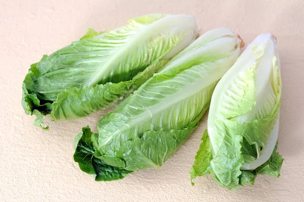 roman heart lettuce