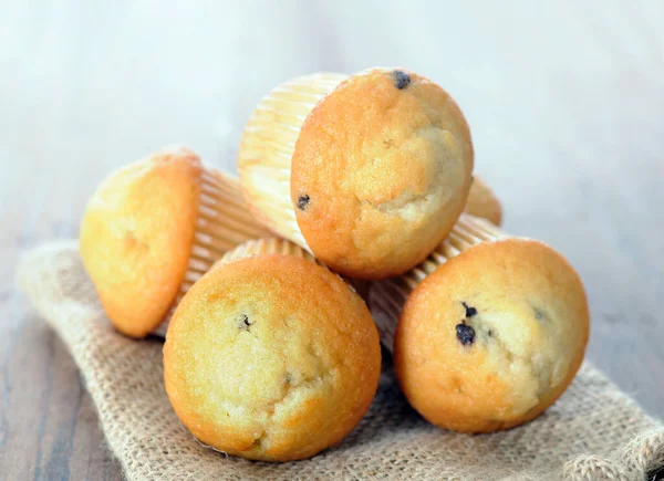 Mini muffin — Fotografia de Stock