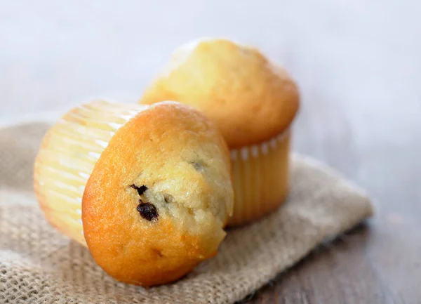 Muffin — Stockfoto