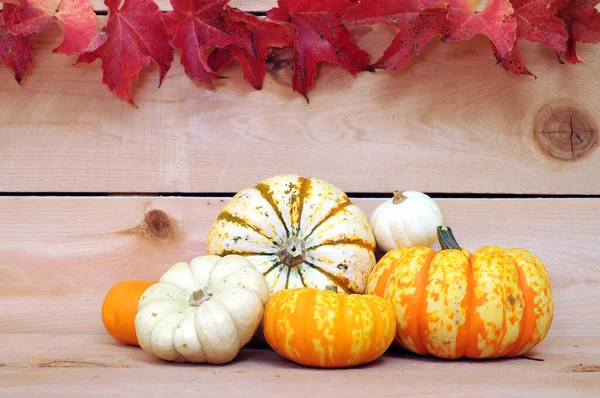 Calabaza ornamental — Foto de Stock