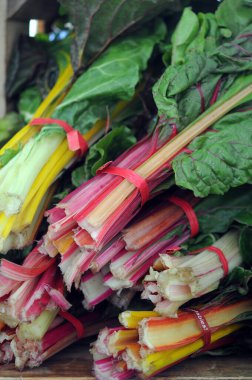 Bir yığın lahana.