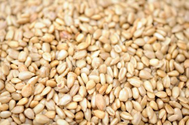 Soyulmuş ayçiçeği çekirdeği 