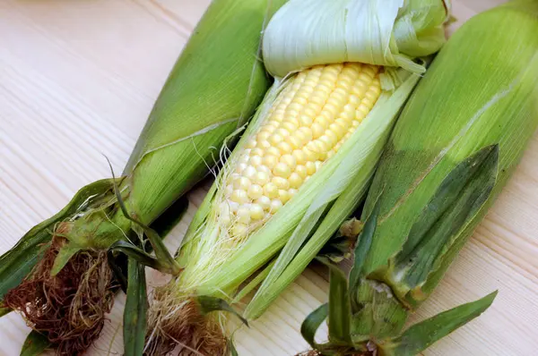Drie maïs in de kolf — Stockfoto