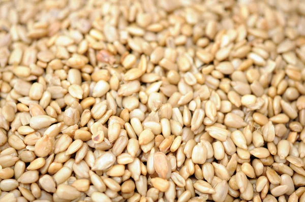 Soyulmuş ayçiçeği çekirdeği 