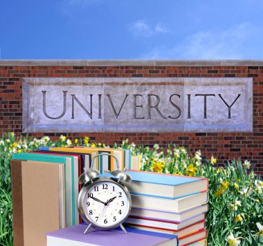 Üniversite
