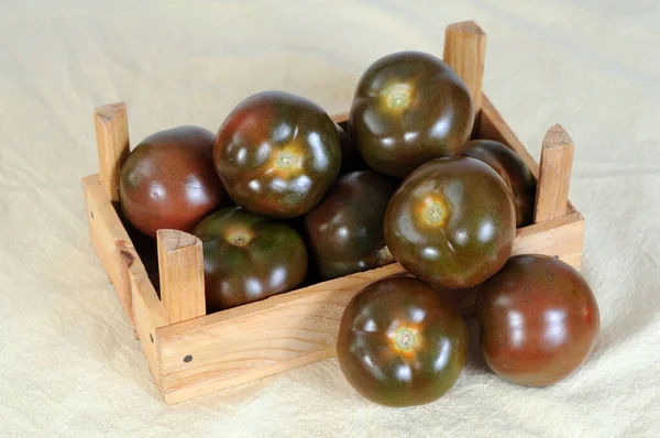 Tomate marrón — Foto de Stock