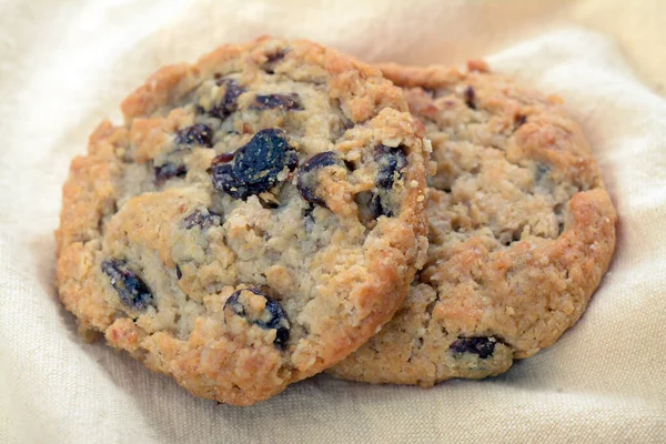 Oakmeal raisin cookie — Stock Photo, Image