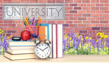 kitap ve üniversite