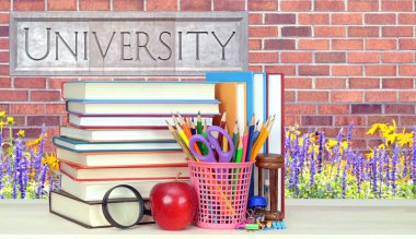 kitap ve üniversite