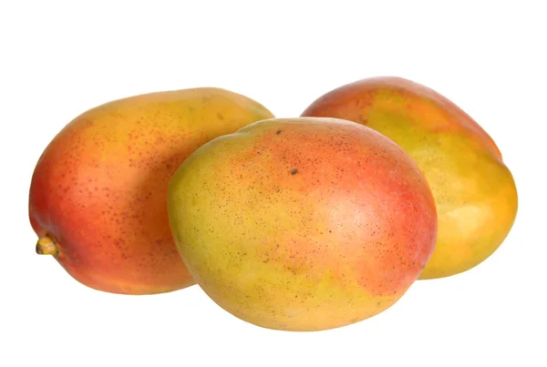 Солодкі манго — стокове фото