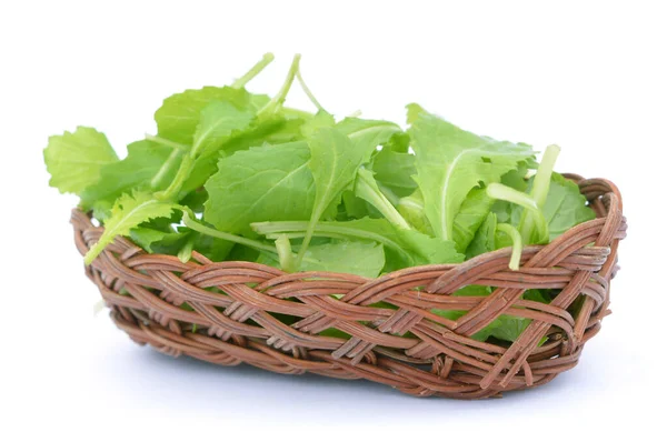 Organic lettuce — Stock Photo, Image